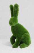 Sitting Rabbit
