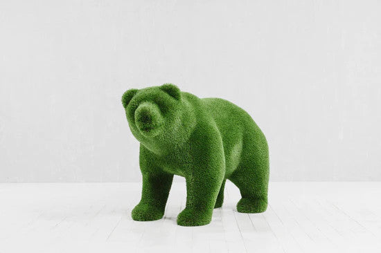 Petit ours