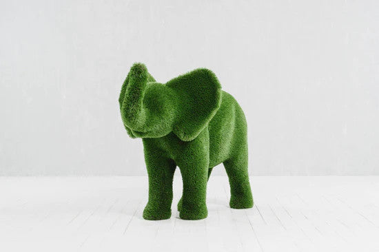 Petit éléphant