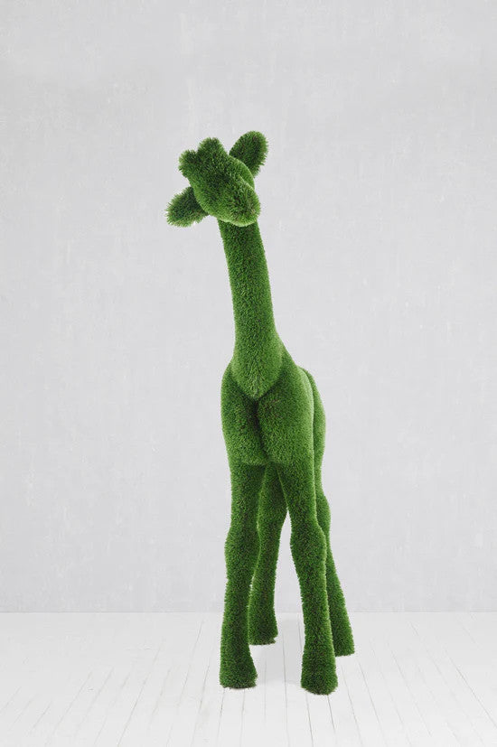Petite girafe