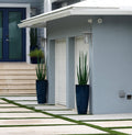 Snake grass (4 ft) with Dax L planter in dark teal