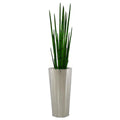Snake grass (4 ft) with metallic cone planter