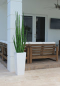 Snake grass (63") with Beau M planter in glossy white