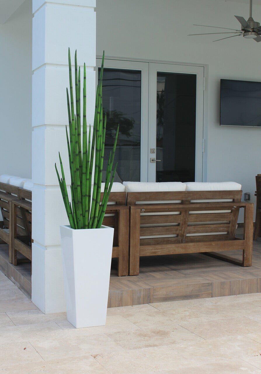 Snake grass (63") with Beau M planter in glossy white
