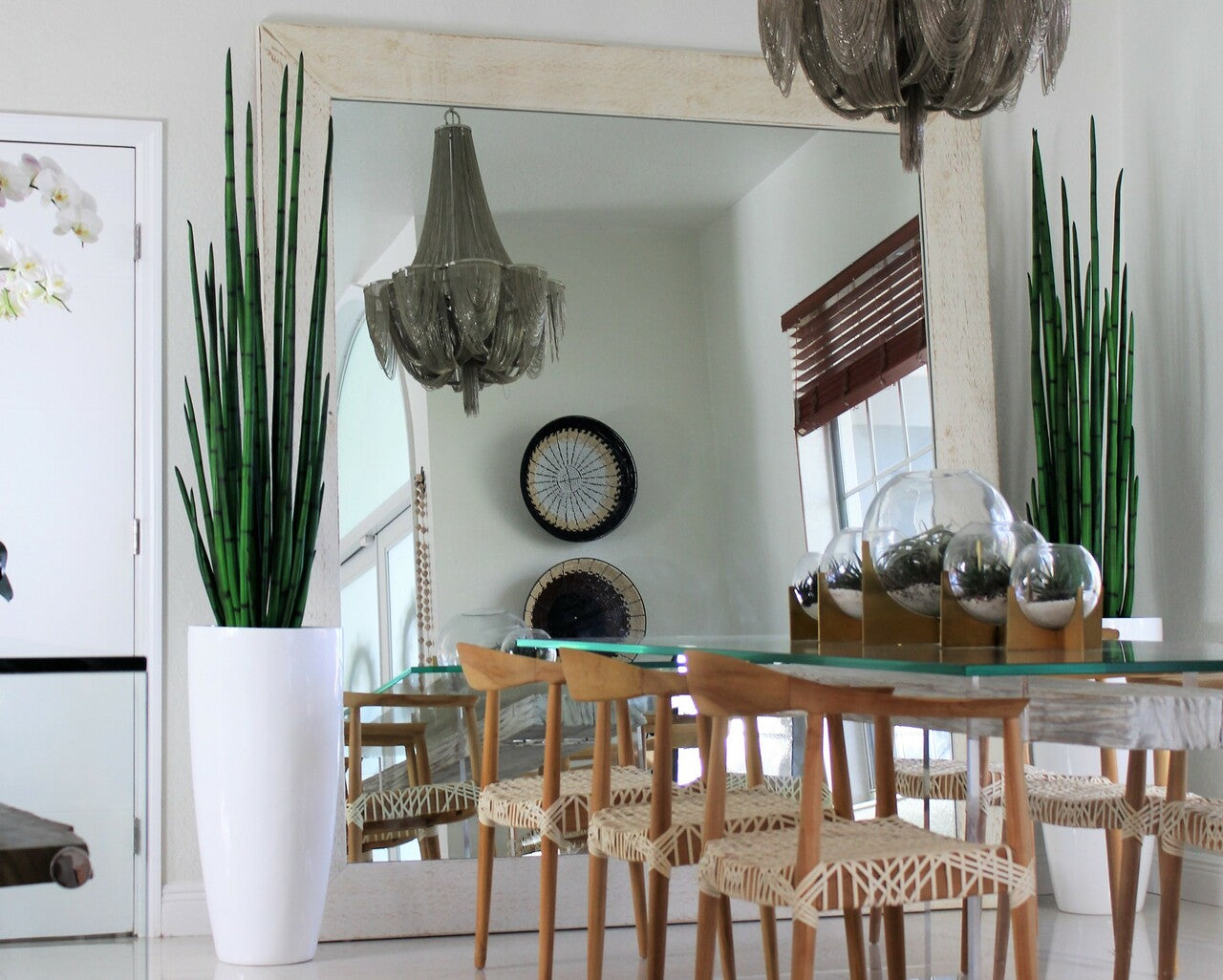 Snake grass (63") with Dax L planter in glossy white