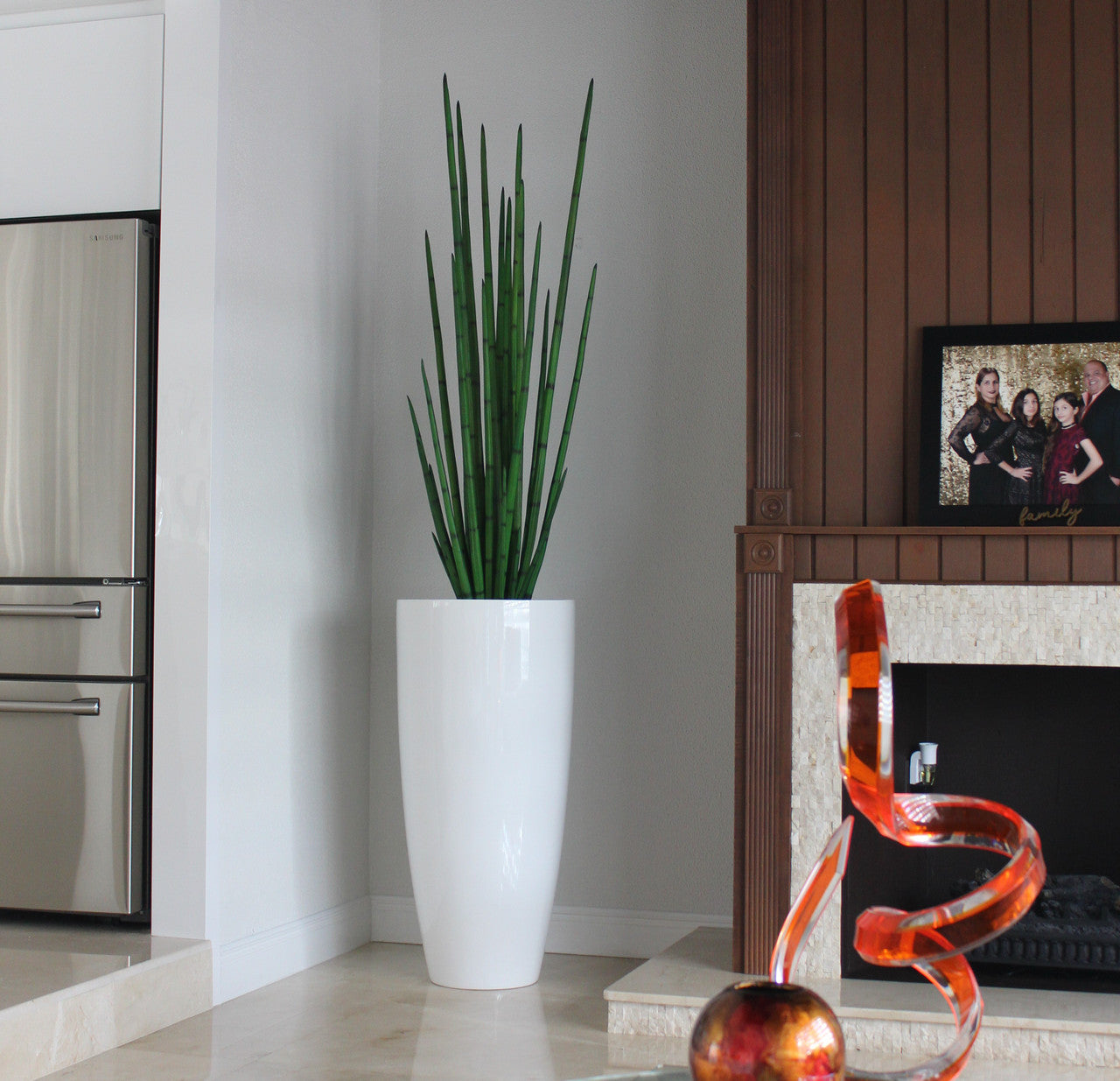 Snake grass (63") with Dax XL planter in glossy white