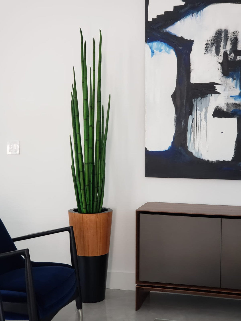 Snake grass (63") with Lux planter in black