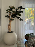 Trailing Bonsai in 30" Satin Beige Globe