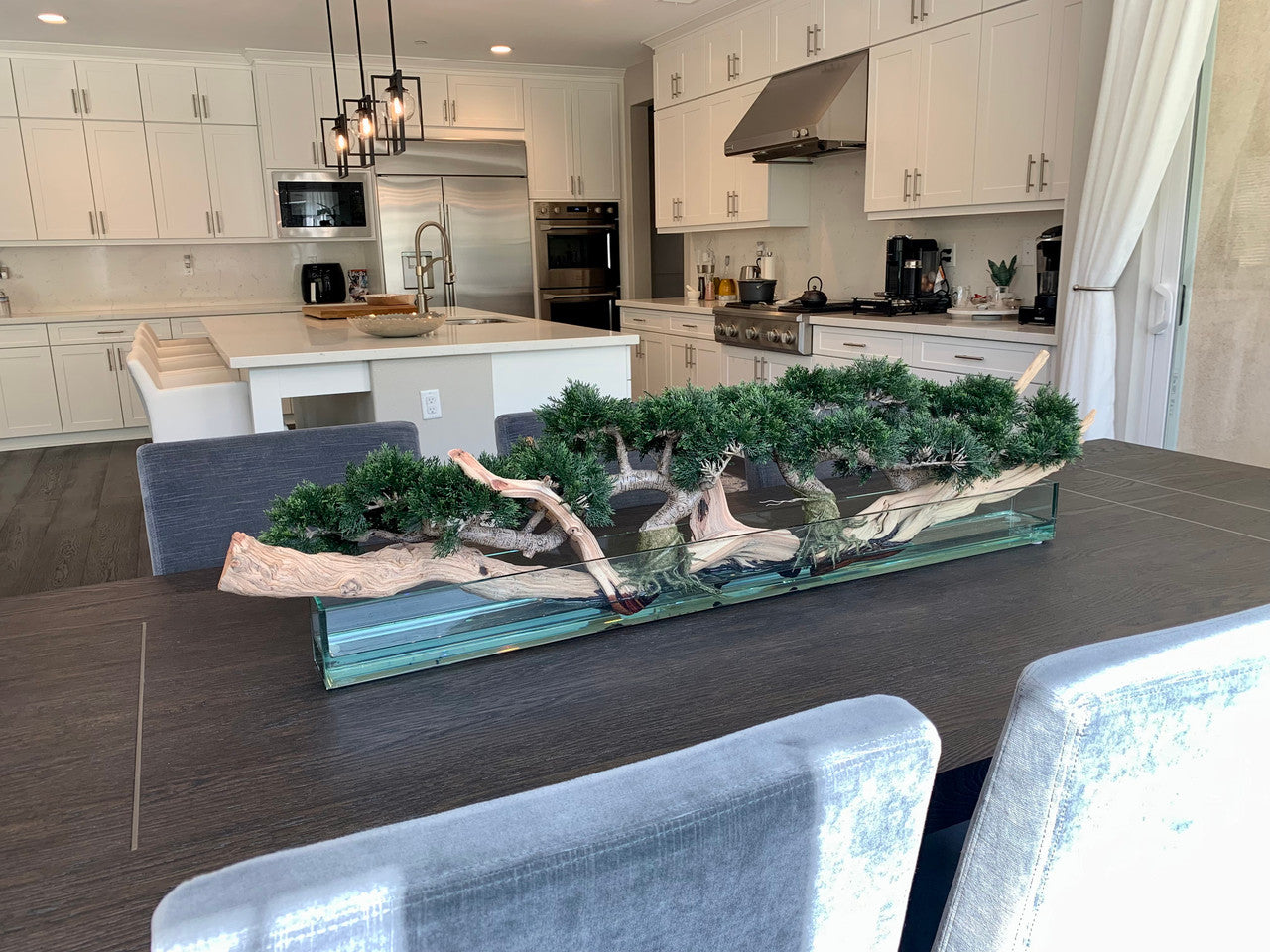 Trailing Cedar Bonsai on 48" Glass Plate Planter