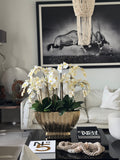 Vivien Gold Vase with White Phaleanopsis Orchids