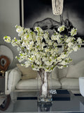 White Cherry Blossoms In 16" Glass Cylinder